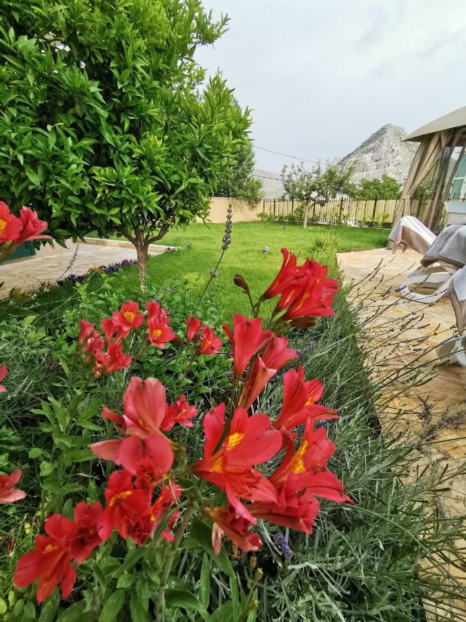 Villa Mater - Luxuriously Equipped Villa With A 15M Long Swimming Pool Žrnovnica エクステリア 写真